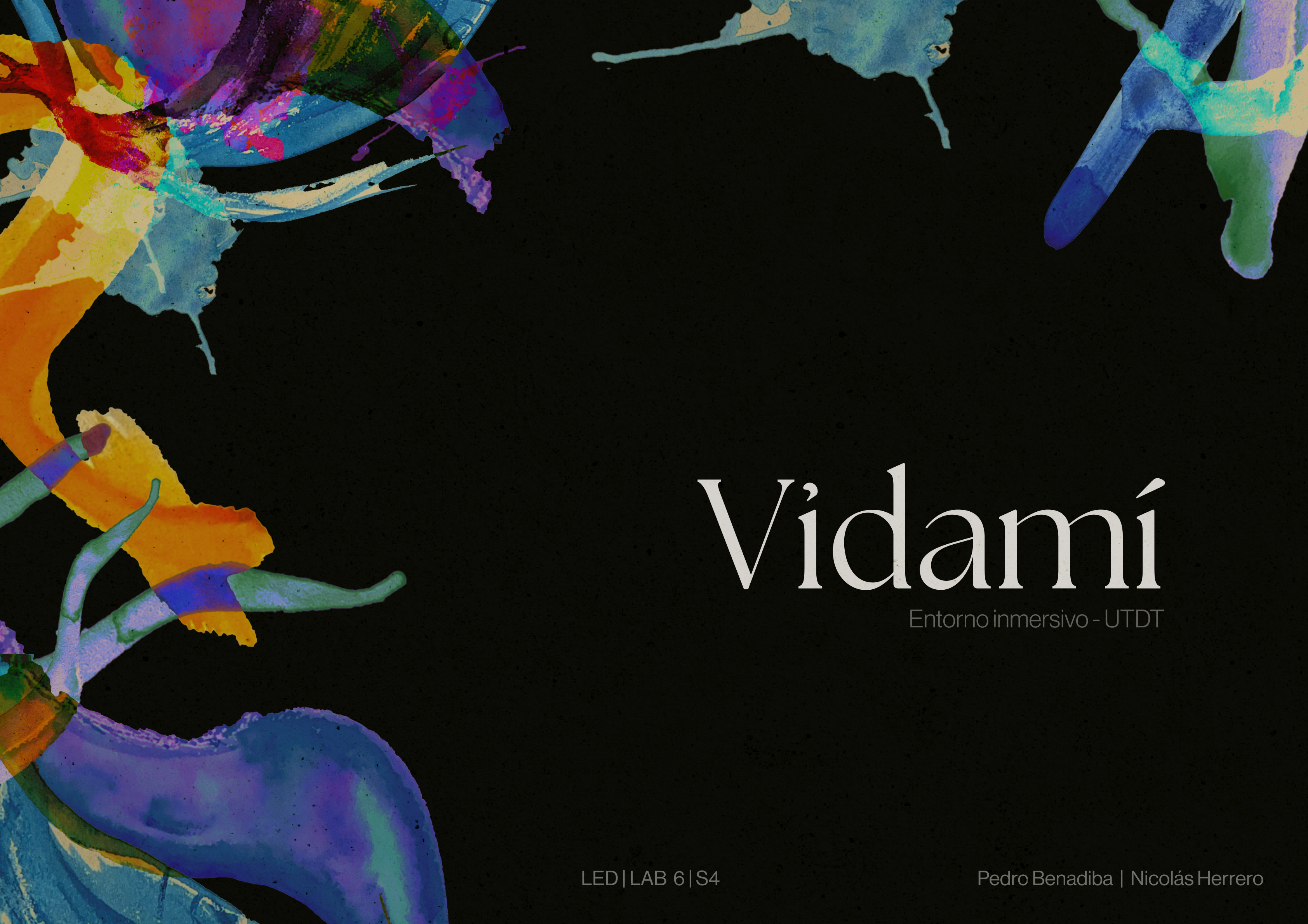 VIDAMÍ galería 2
