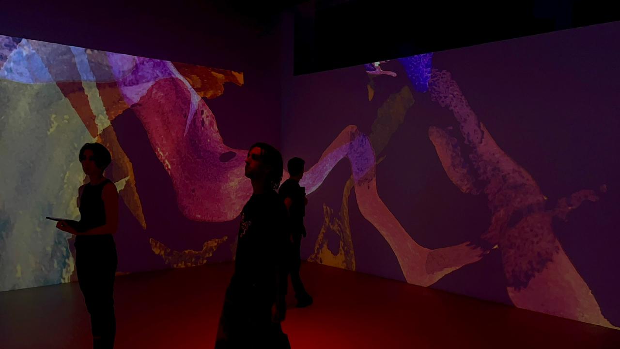 VIDAMÍ — imagen 1