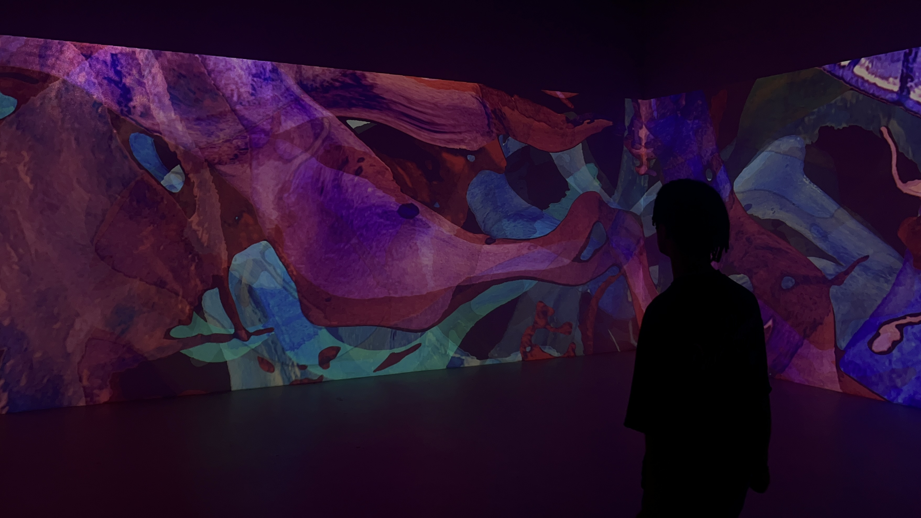 VIDAMÍ — imagen 2