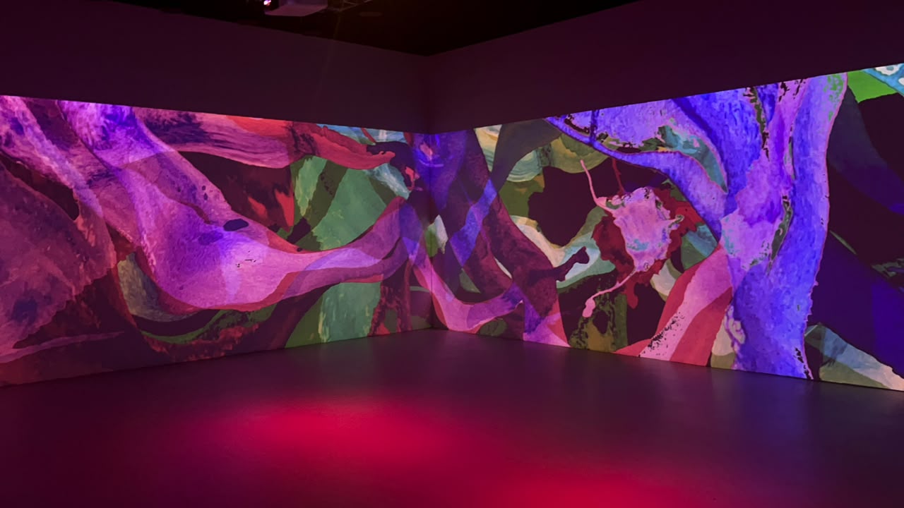 VIDAMÍ — imagen 4