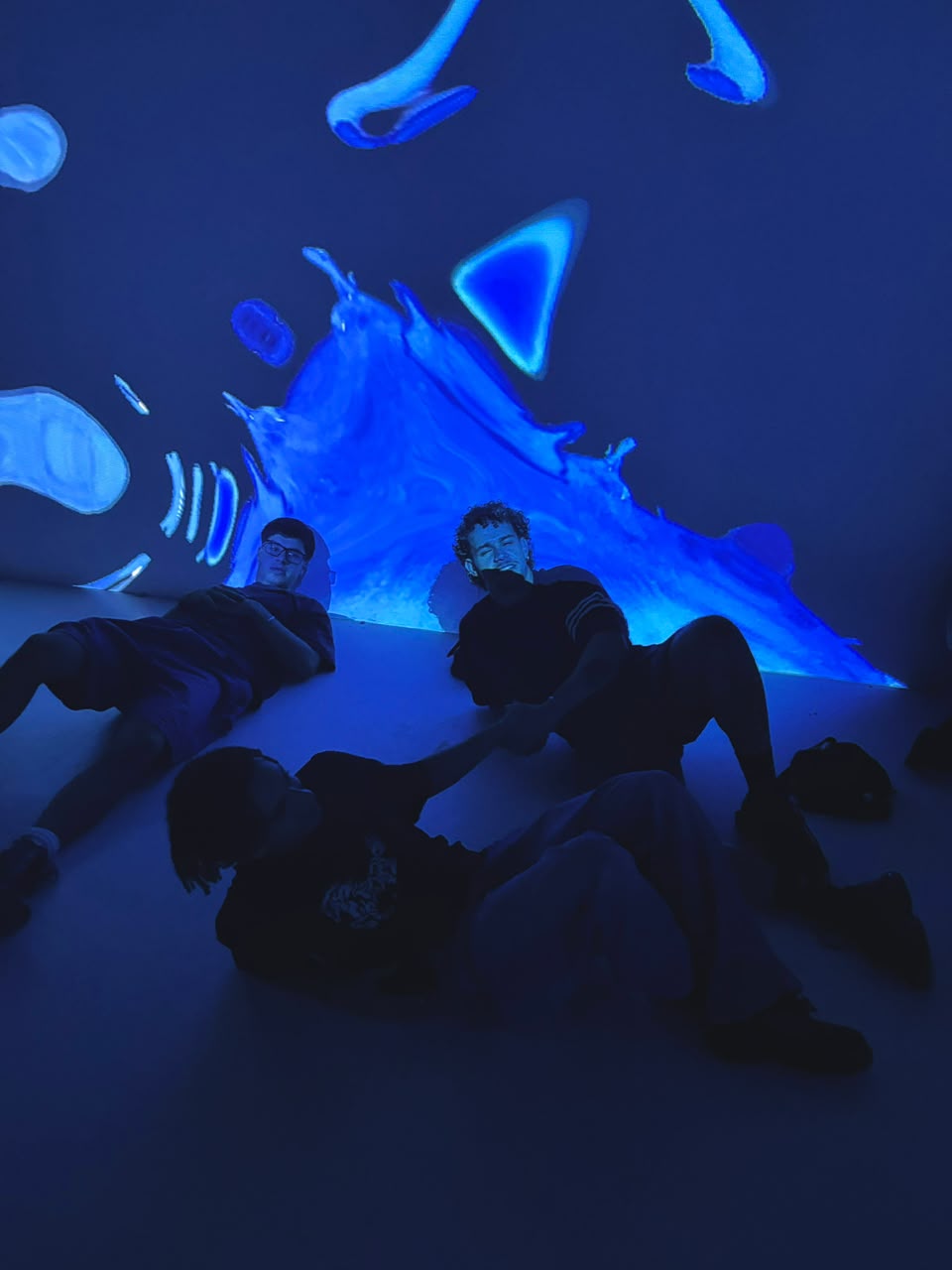 VIDAMÍ — imagen 5